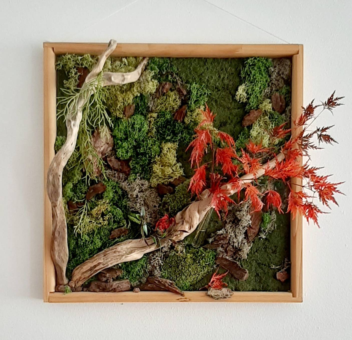 Cercis, estructuras, vegetales,arte,floral,vegetal,kunst,instalation,belenartspace